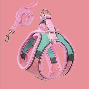 Dog Cat Outdoor Harness & Leash Set